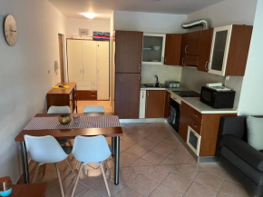 Mario Apartment
